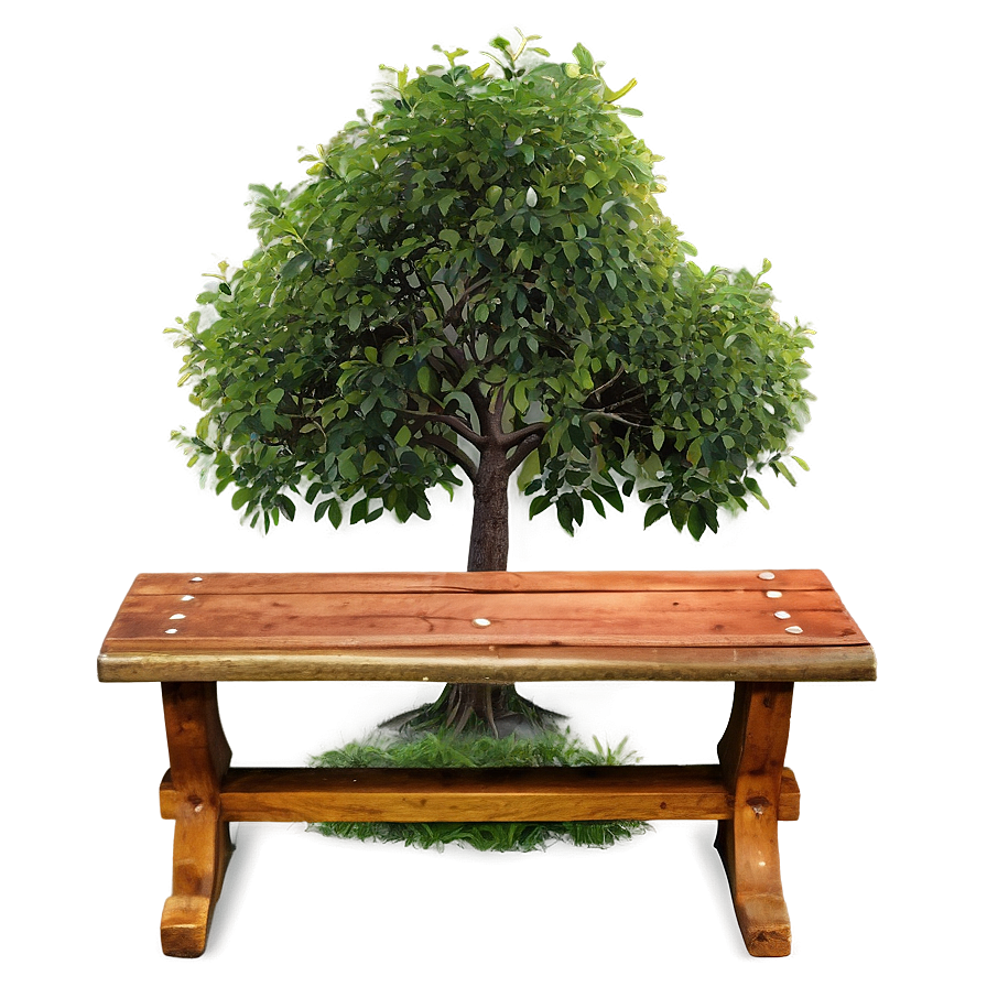 Small Tree With Bench Png 06132024 PNG