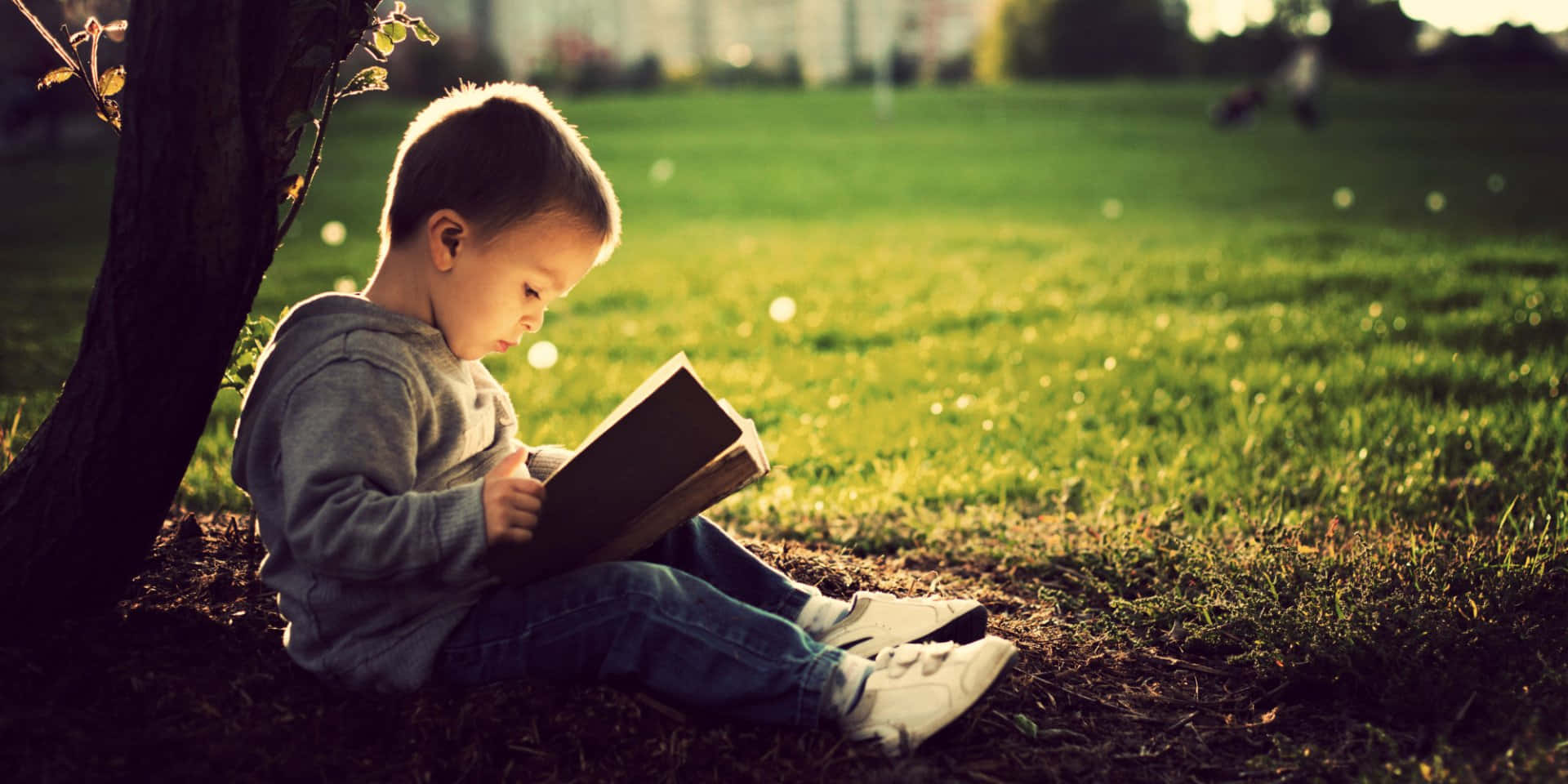 Young Smart Boy Reading Picture