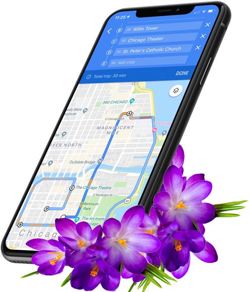 Smartphone Navigation Saffron Flowers PNG