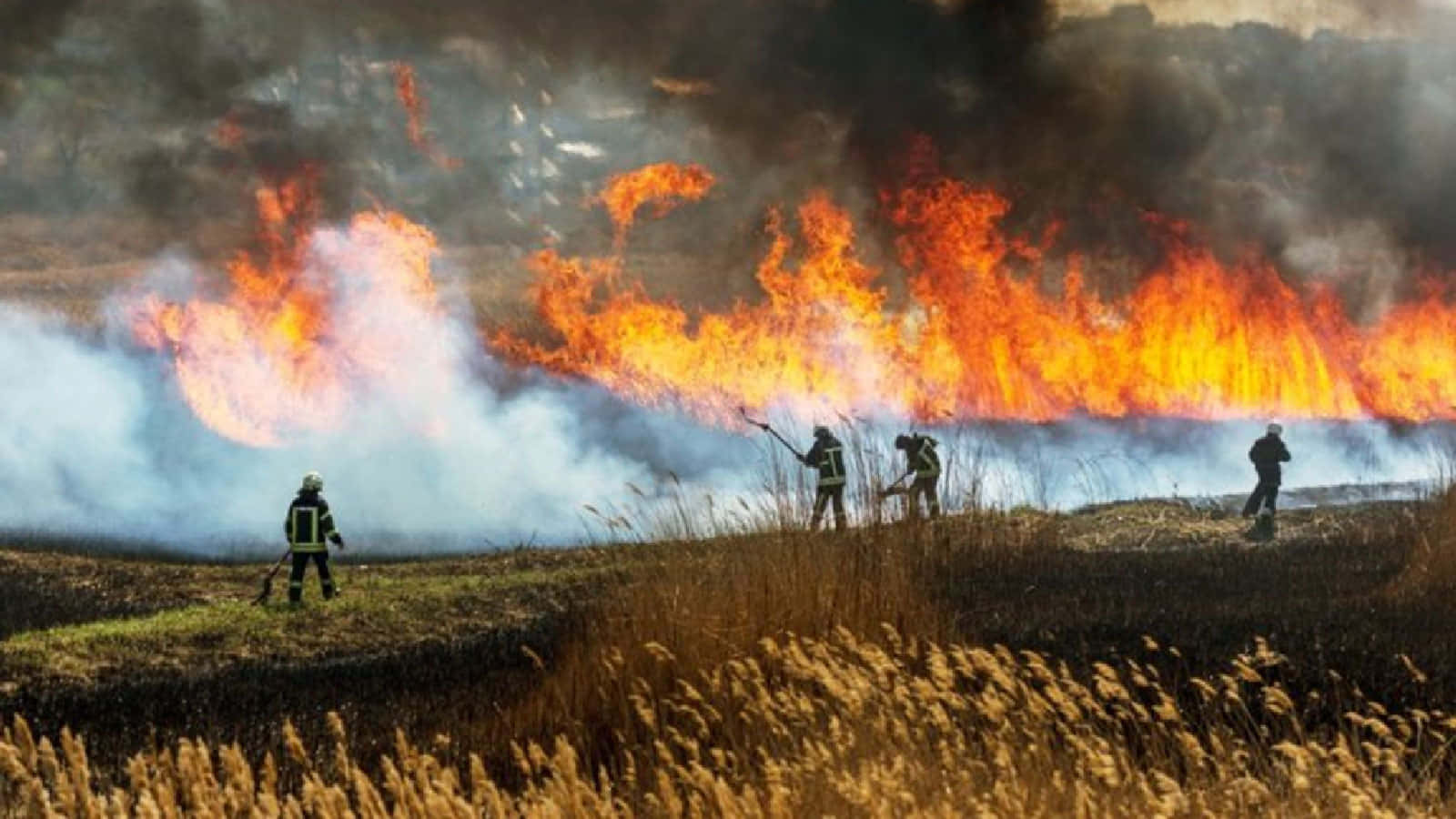 Smeltende Isfjell I Sollys Bakgrunnsbildet