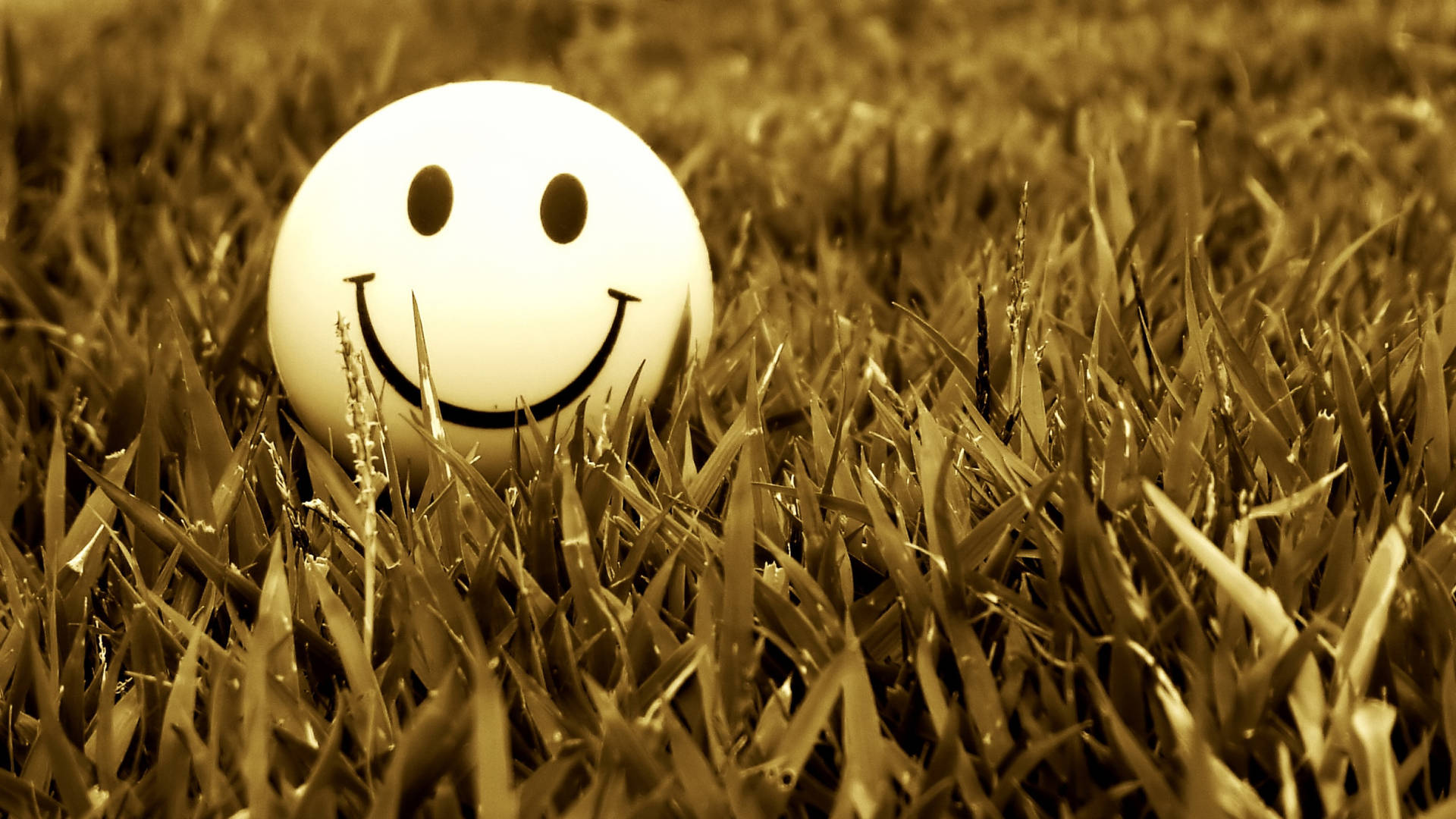 Smile Ball On The Grass Wallpaper
