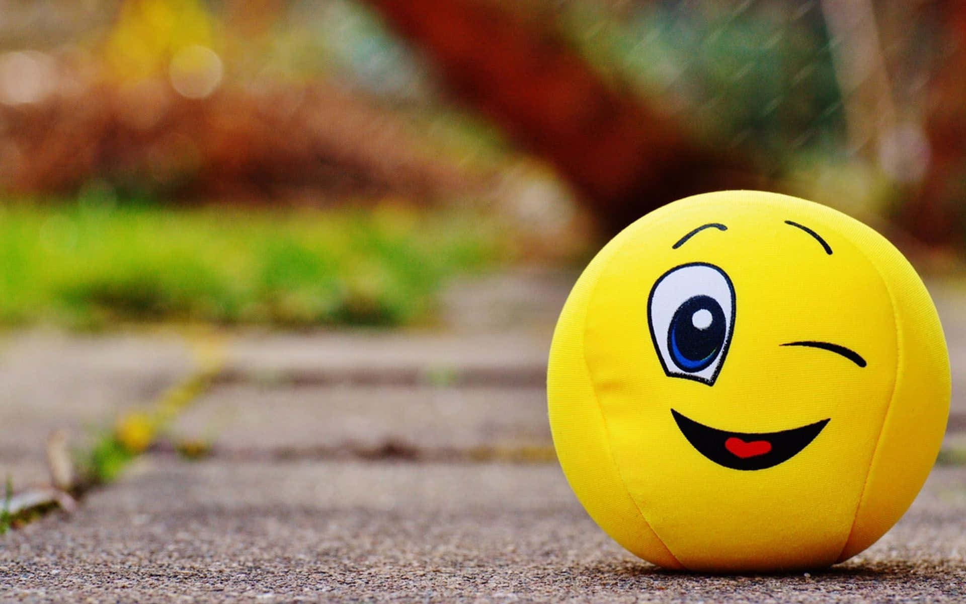 Winking Smile Face Plush Toy On Paved Road Picture