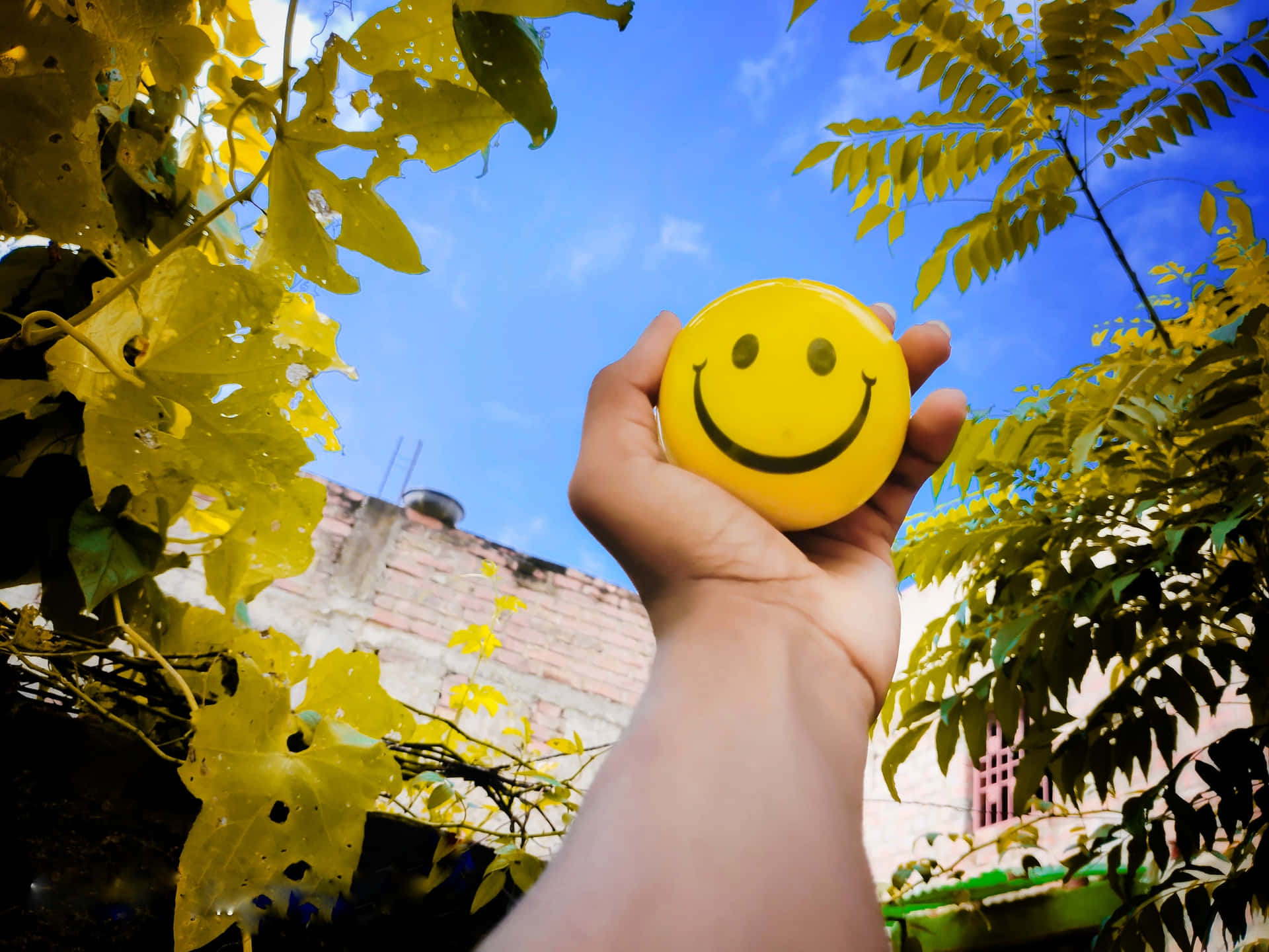 Difundela Felicidad Con Una Sonrisa; Descripción: Una Brillante Cara Sonriente Amarilla Sobre Un Fondo Negro; Palabras Clave Relacionadas: Alegre, Positivo, Sonrisa, Amistoso, Jubiloso, Felicidad.