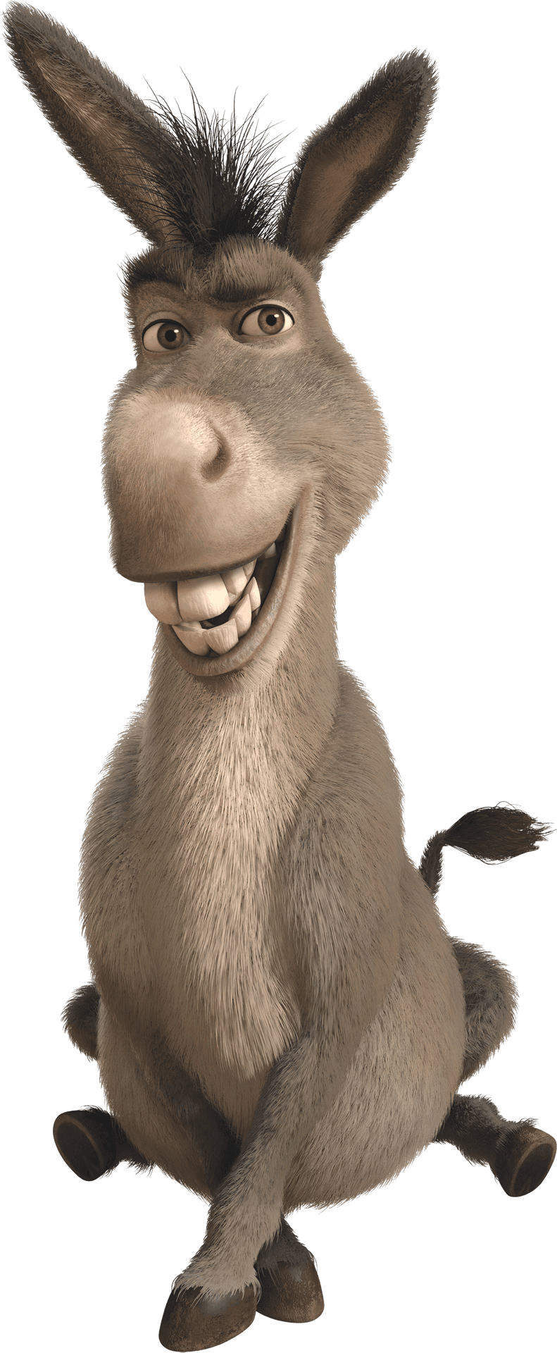 Smiling Animated Donkey Character PNG