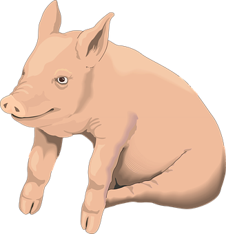 Smiling Cartoon Pig Illustration PNG