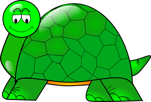 Smiling Cartoon Turtle PNG