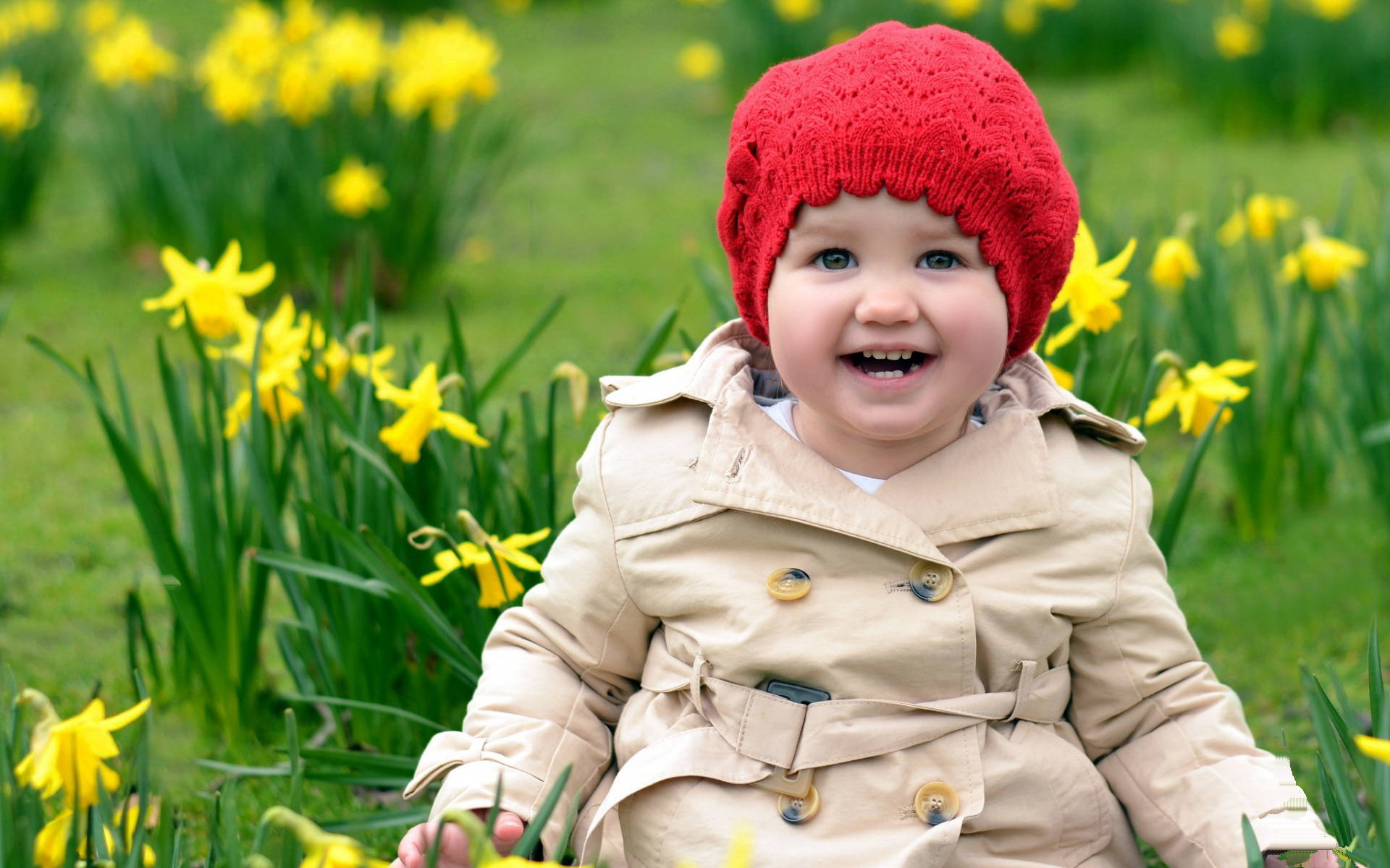 Smiling Child And Daffodil Flowers Wallpaper