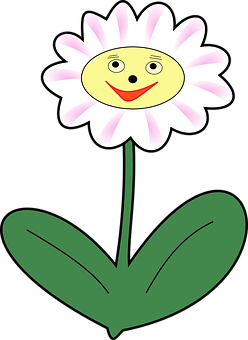 Smiling Daisy Cartoon PNG