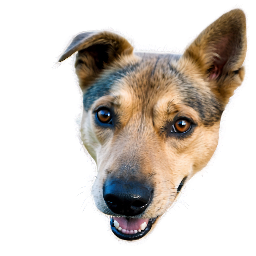 Smiling Dog Face Clipart Png Vly PNG