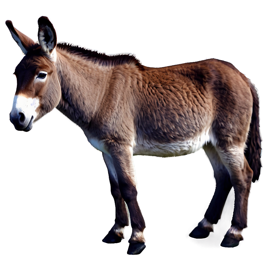 Smiling Donkey Graphic Png 05232024 PNG