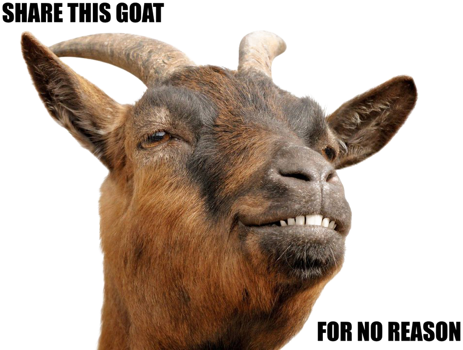 Smiling Goat Meme PNG