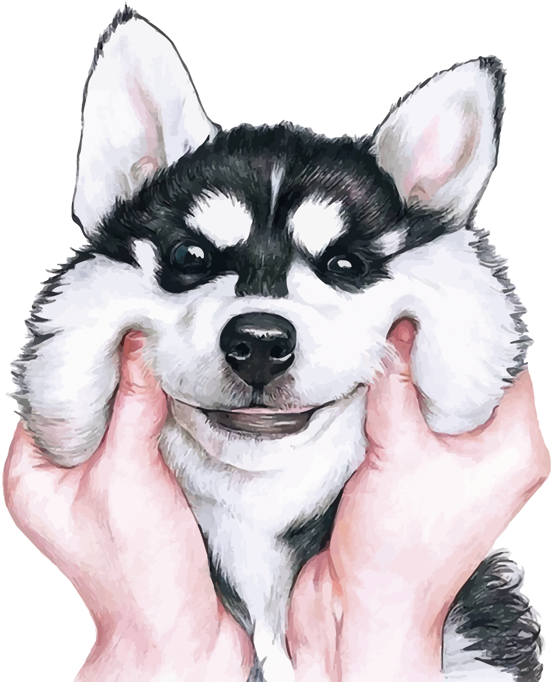 Smiling Husky Puppyin Hands PNG