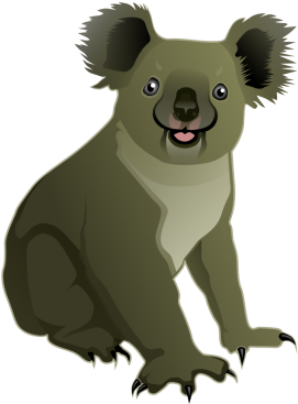 Smiling Koala Cartoon Illustration PNG
