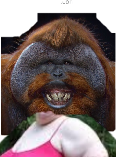 Smiling Orangutan Portrait PNG