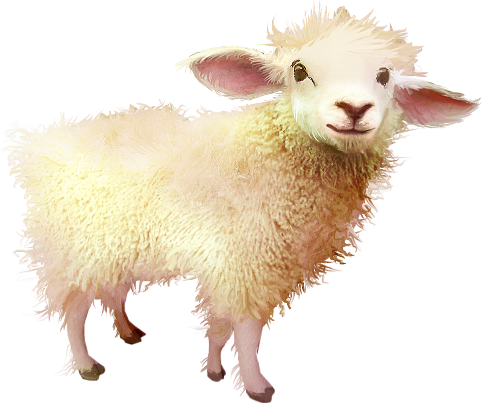 Smiling Sheep Illustration PNG