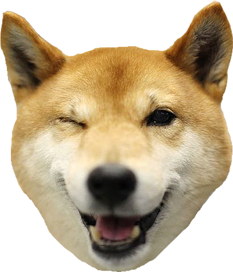 Smiling Shiba Inu Headshot PNG