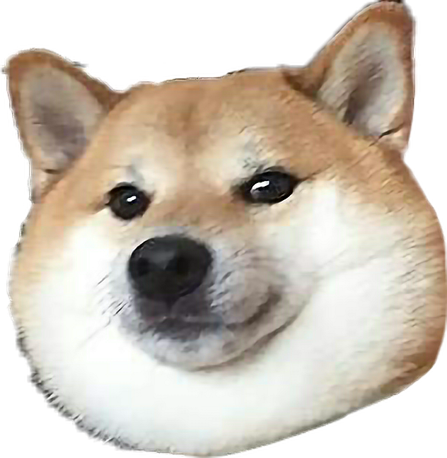 Smiling Shiba Inu Headshot PNG