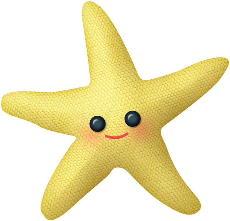 Smiling Starfish Cartoon Character PNG