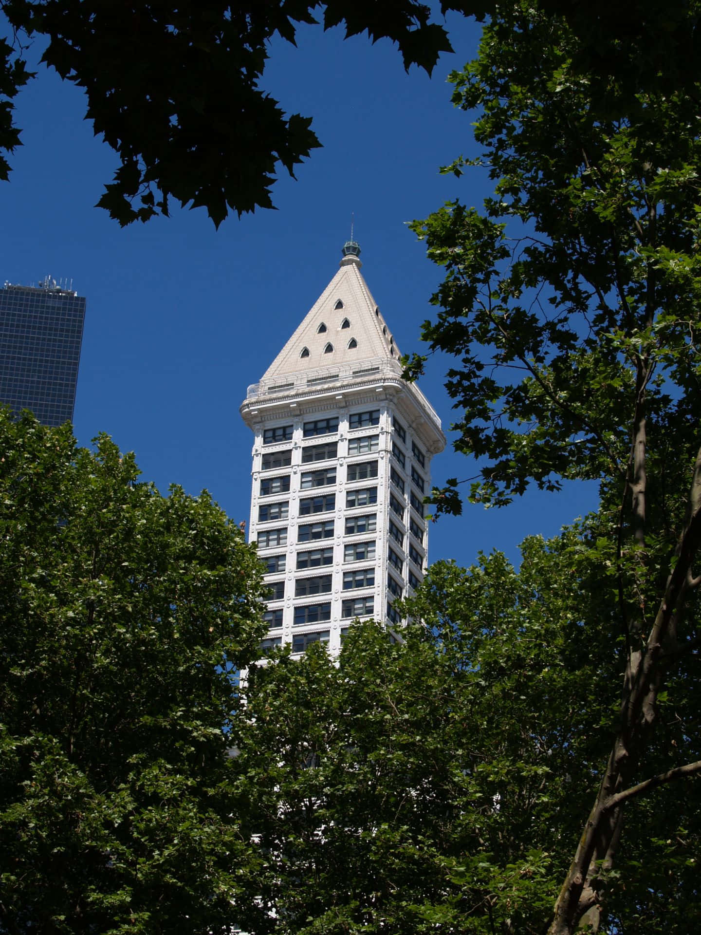 Smith Tower Pioneer Square Seattle Bakgrunnsbildet