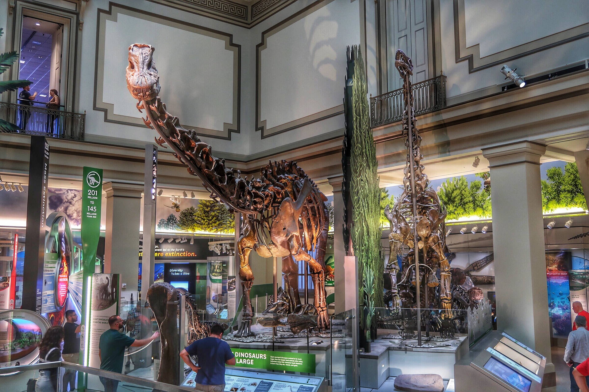 Smithsonian Dinosaur Skeleton Wallpaper