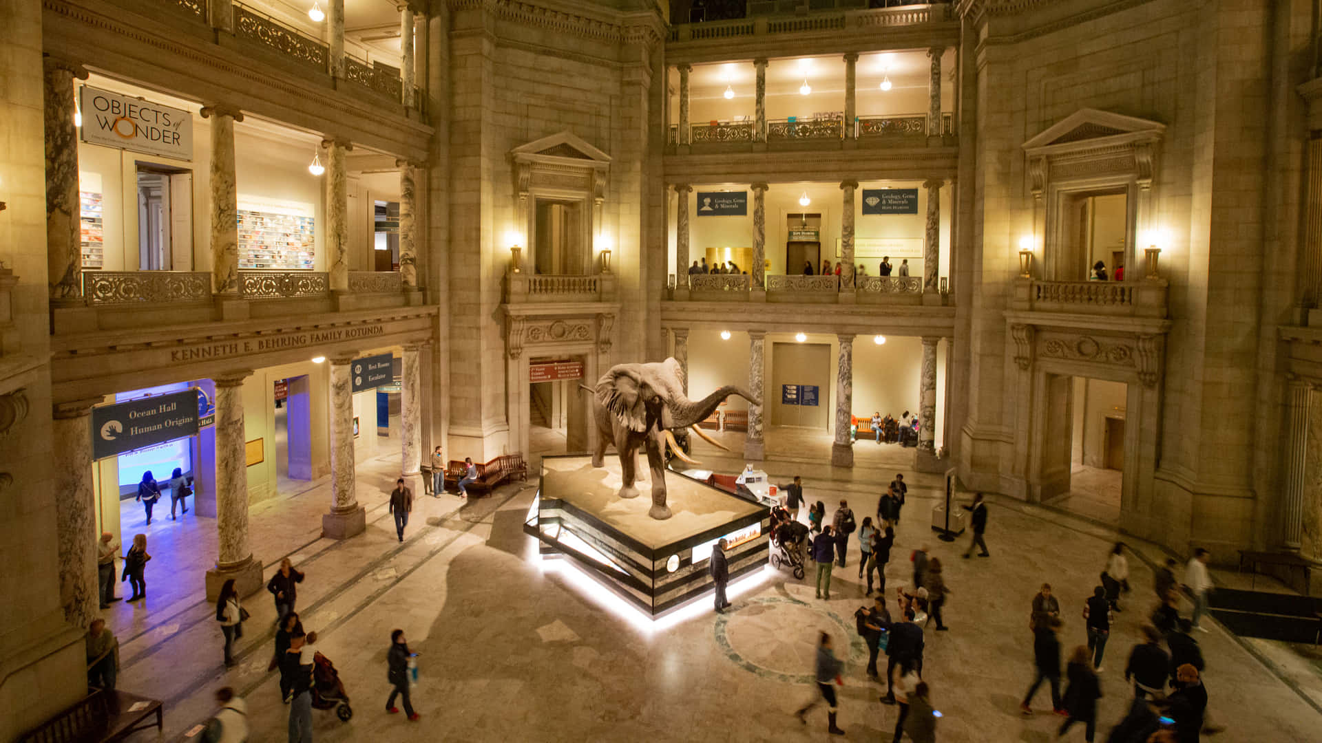 Smithsonian National Museum Of Natural History Hall Wallpaper