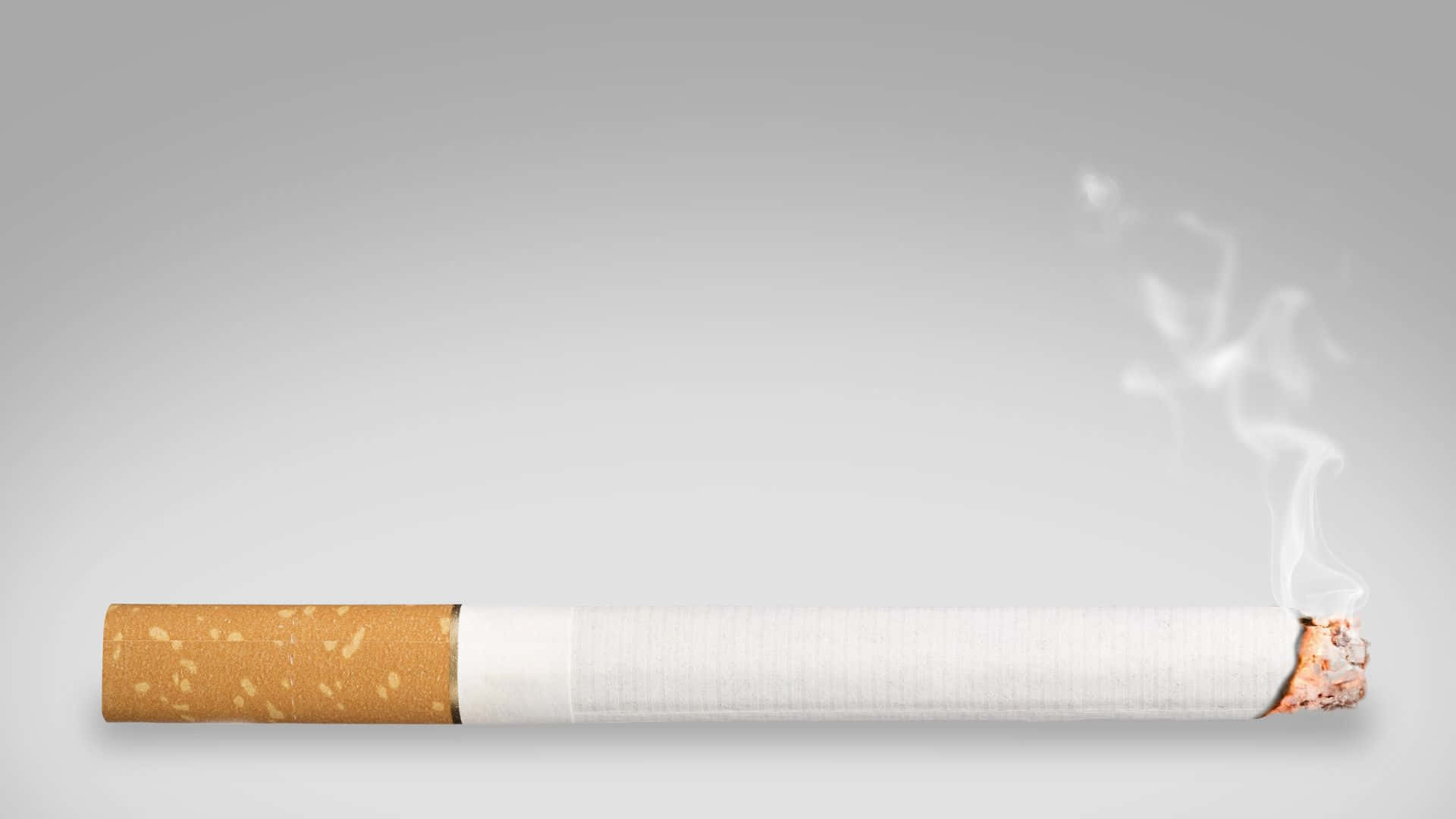 Cigarette On A Gray Background Vector