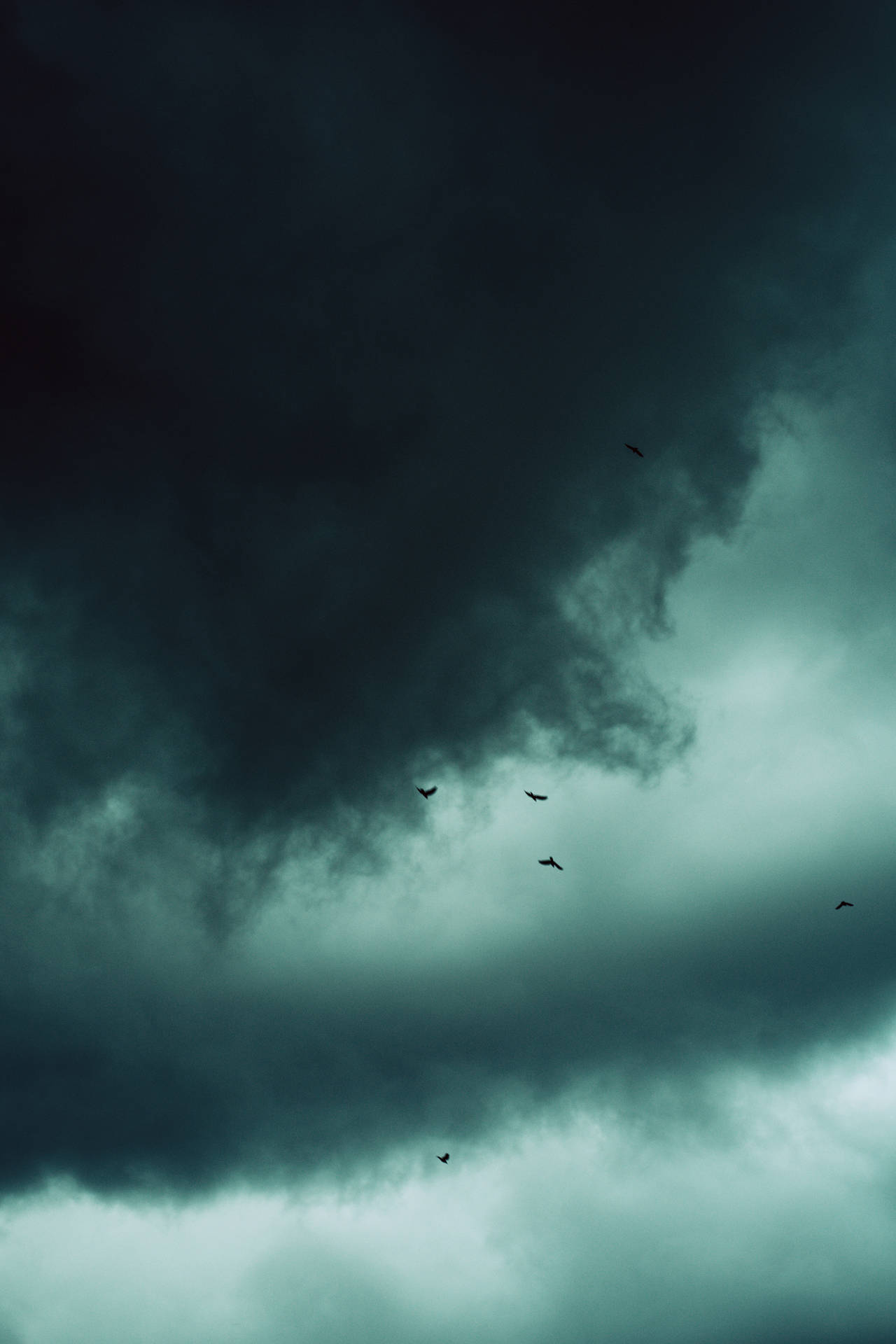 Smoky Black Clouds With Birds Wallpaper