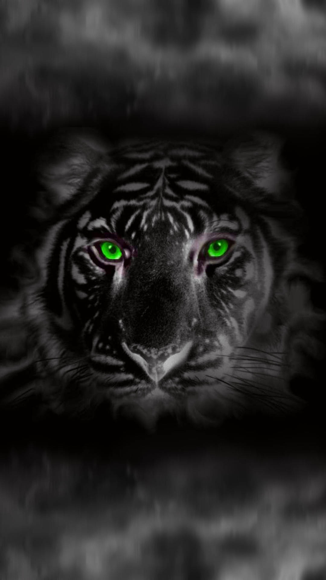 Smoky Black Tiger Wallpaper
