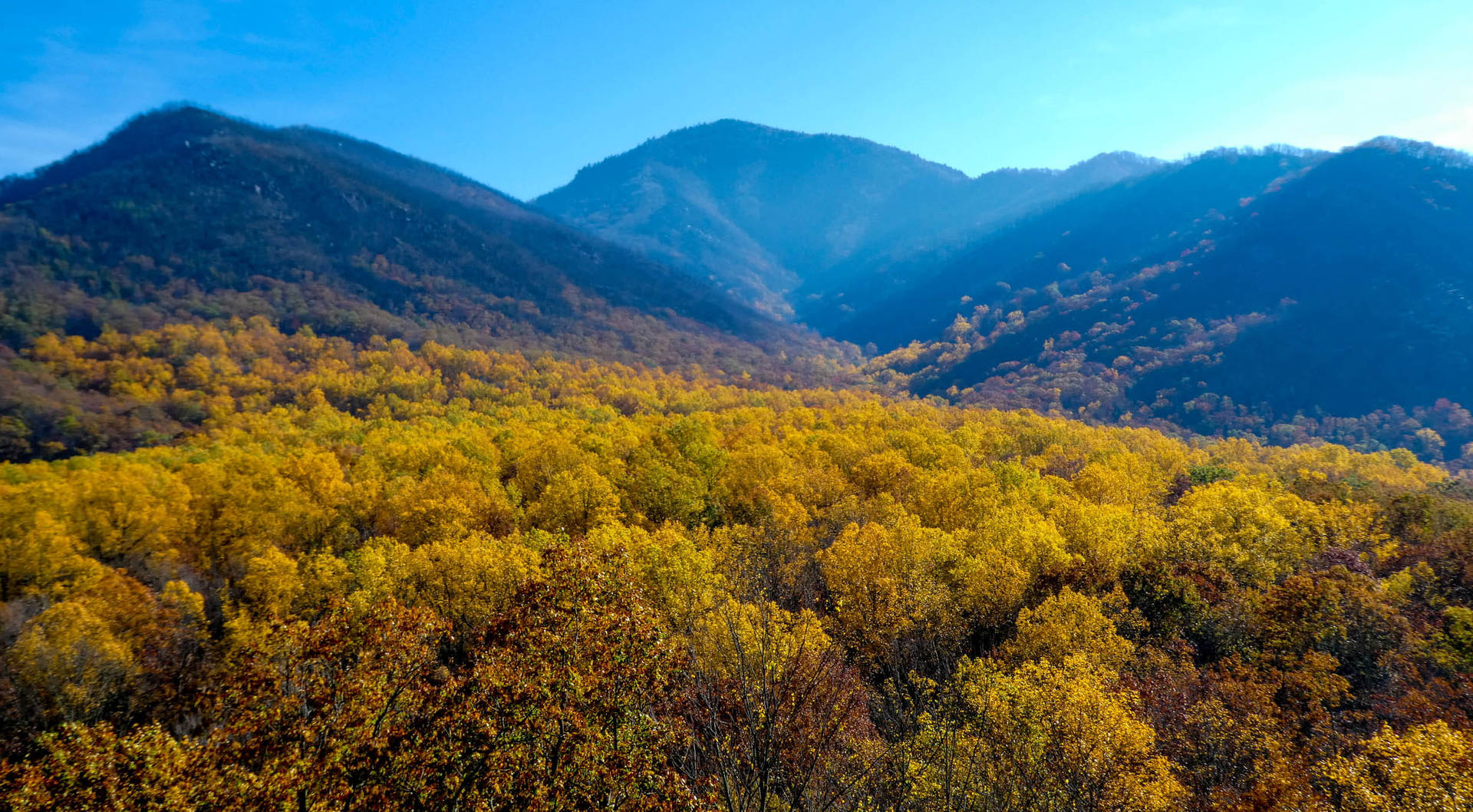 Smoky Mountains With Fall Trees Wallpaper