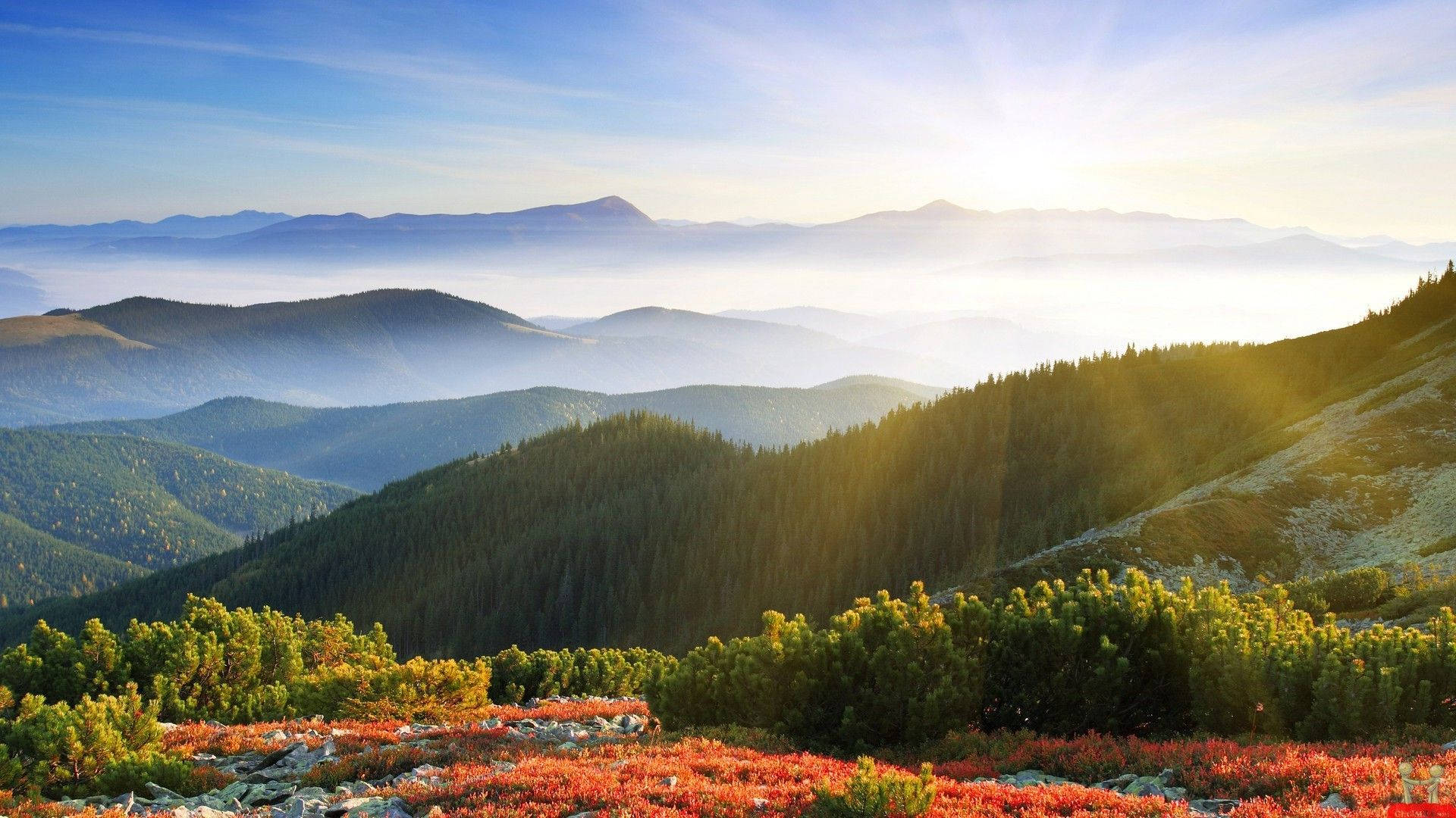 Smoky Mountains With Soft Sunlight Wallpaper