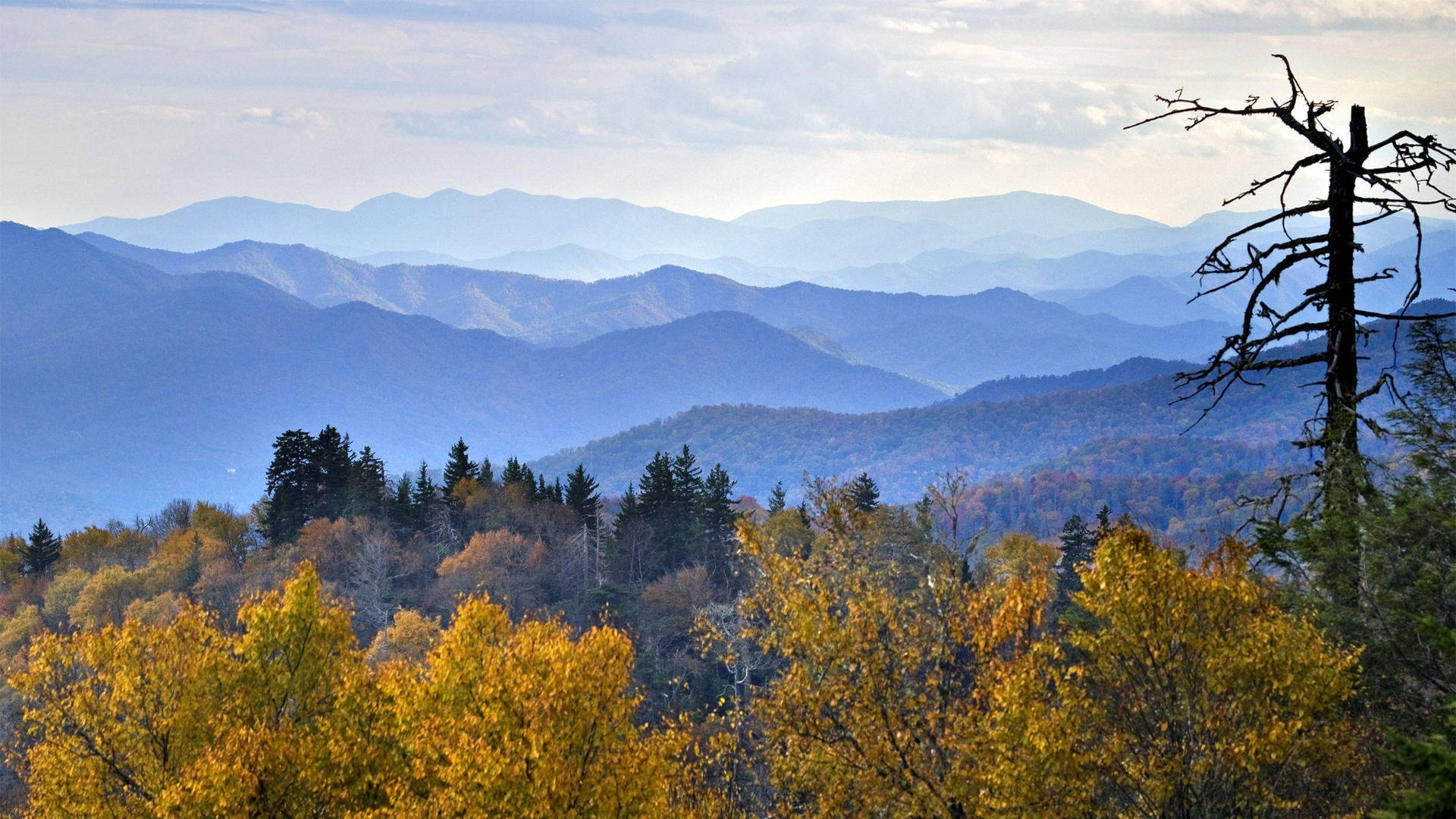 Smoky Mountains With Yellow Trees Wallpaper