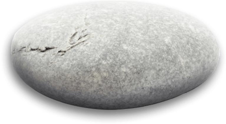 Smooth Oval Stonewith Markings PNG