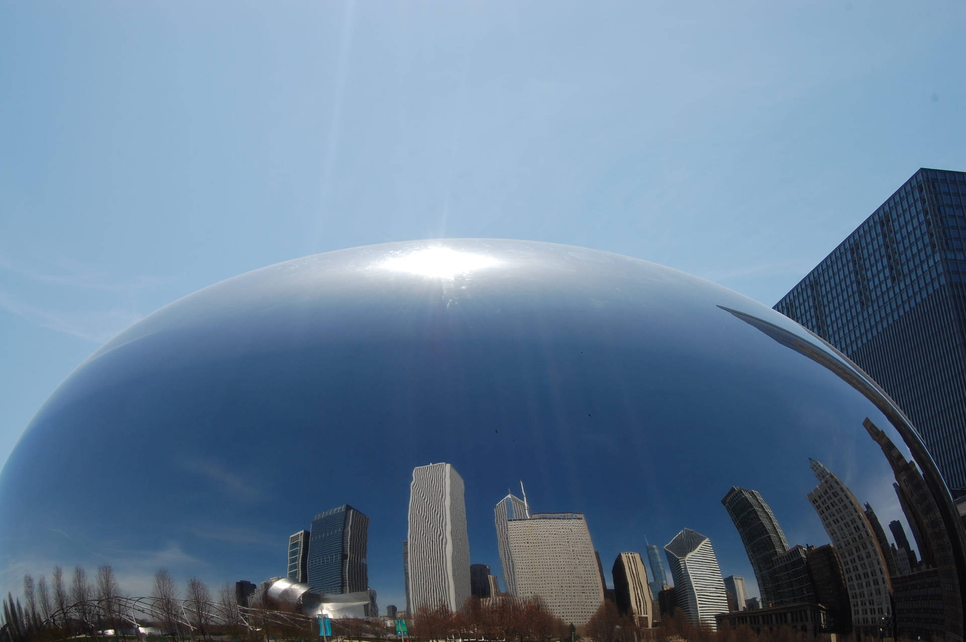 Smooth The Bean Chicago Close Up Wallpaper