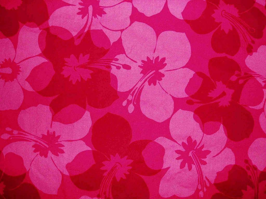 Smuk Pink Hibiscus Blomstermønster Wallpaper