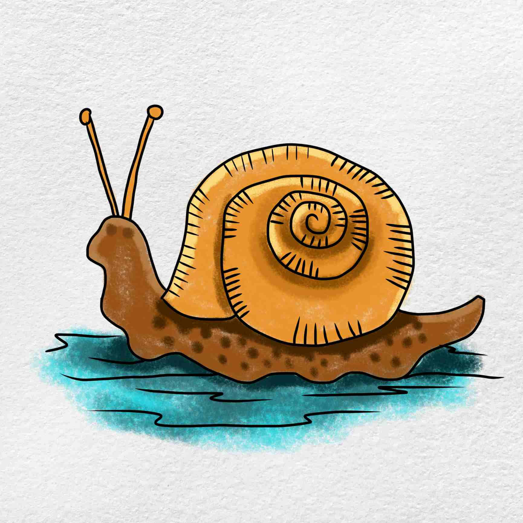 A Snail Is Riding On The Water