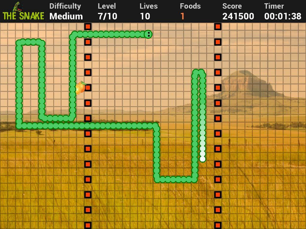The Snake Game - Screenshot