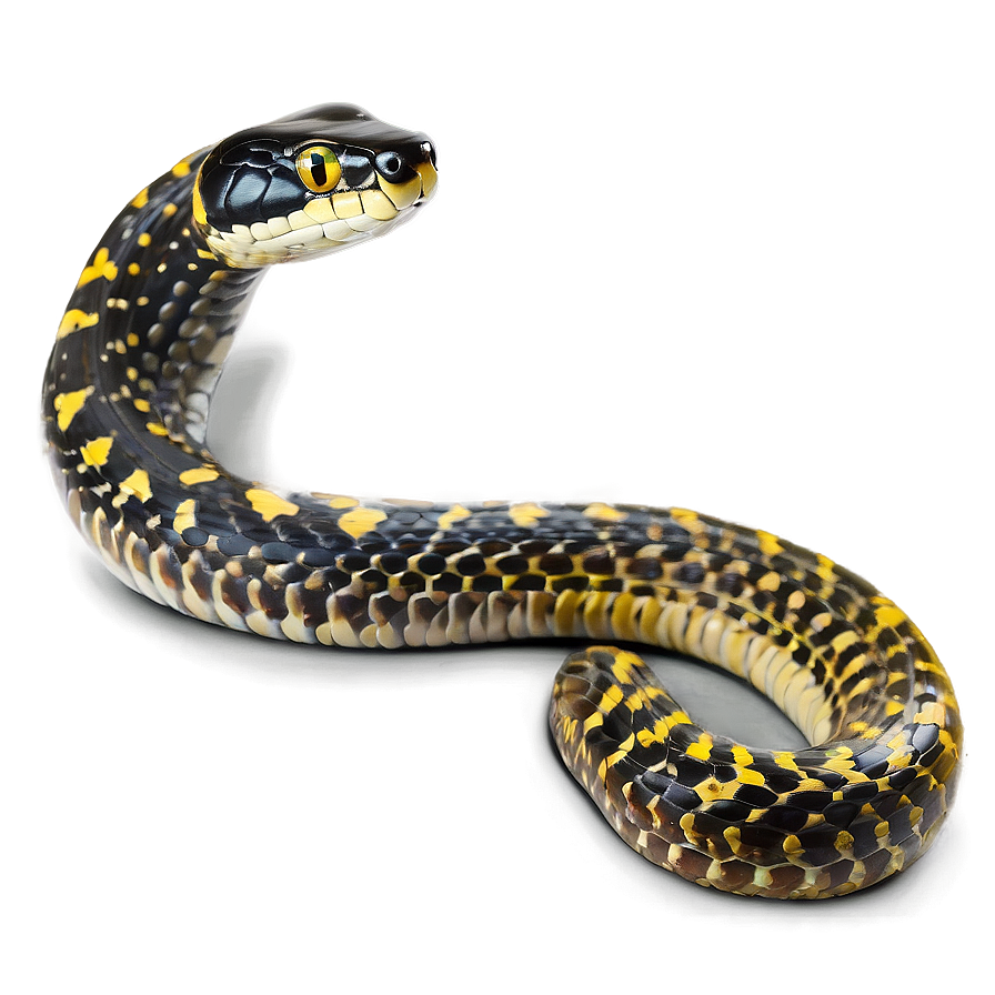 Snake In A Zoo Habitat Png 92 PNG