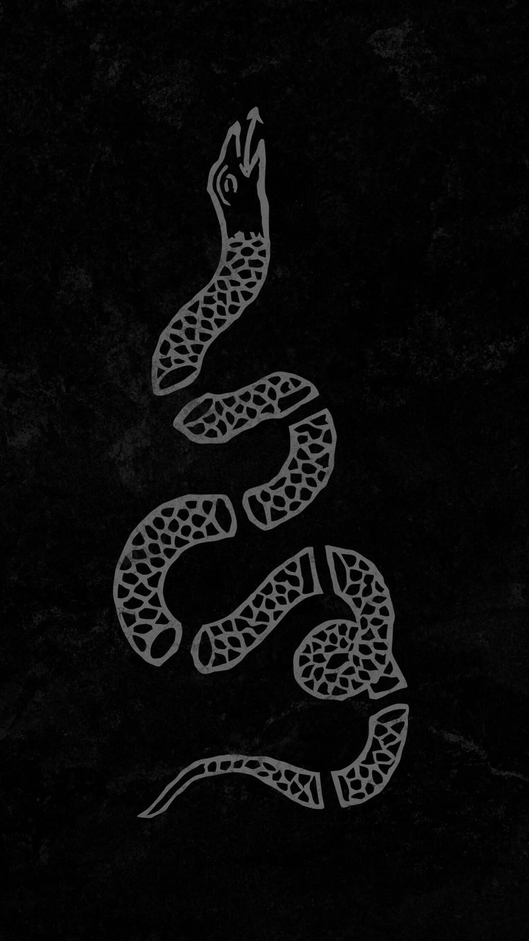 Snake In Pieces Outline Phone Wallpaper