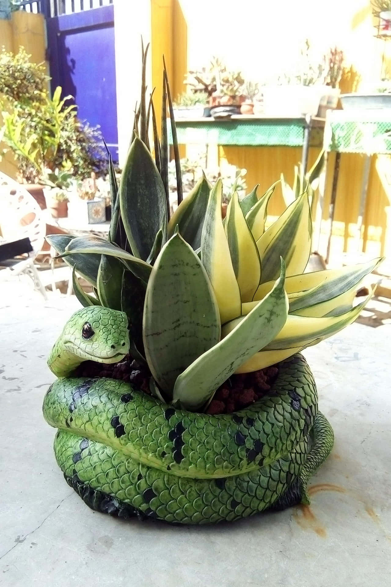 A Snake Planter With Green Plants On It