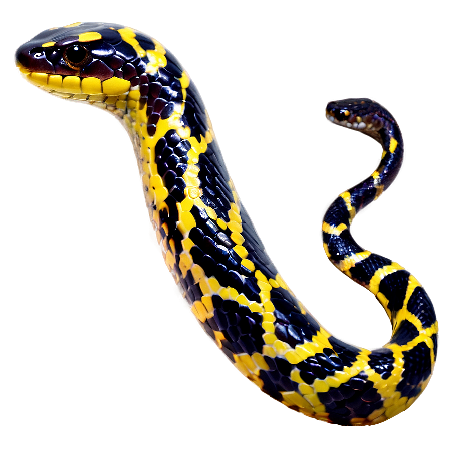 Snake Tail Png 27 PNG