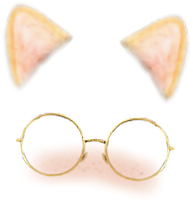 Snapchat Cat Earsand Glasses Filter PNG