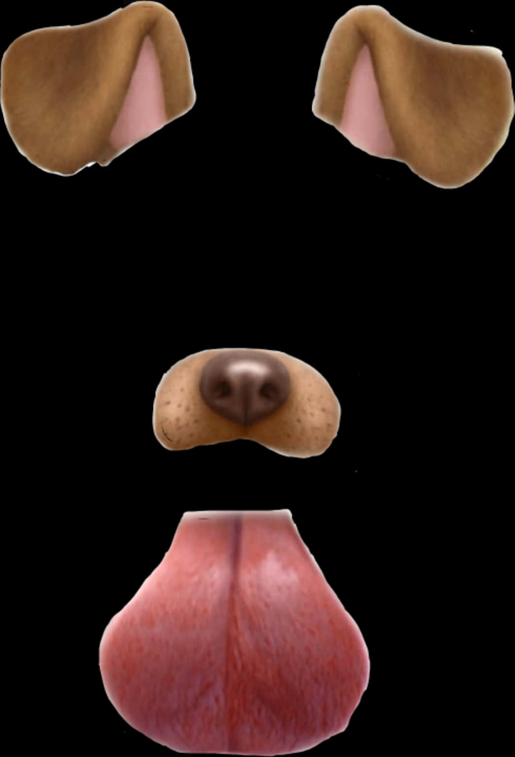 Snapchat Dog Filter Elements PNG — A dog's face parts isolated on black background showing ears nose and tongue in 3d render.