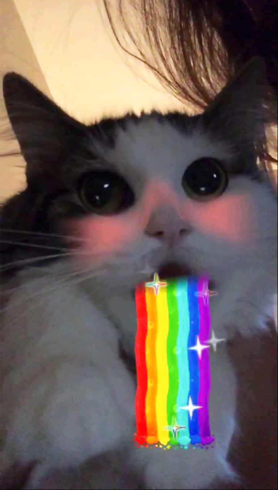 Snapchatregnbuefilter Billede