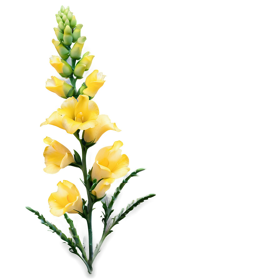 Snapdragon Flower Bush Png Pag15 PNG