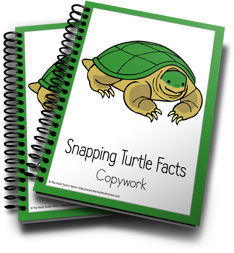 Snapping Turtle Facts Copywork Cover PNG