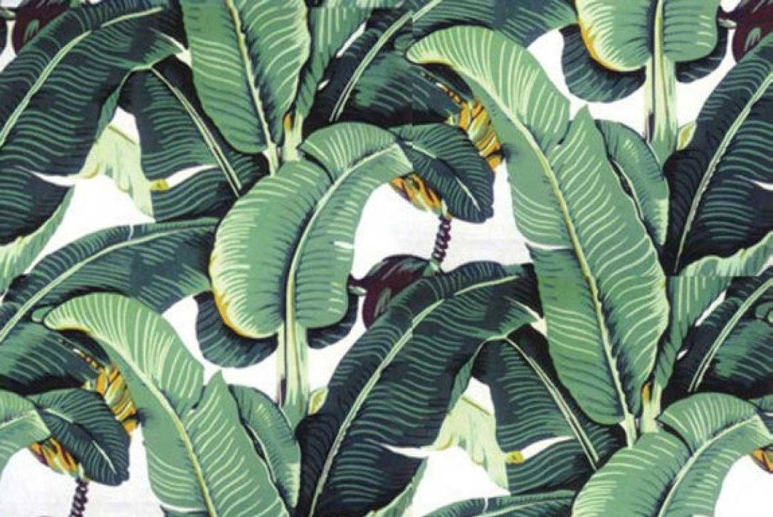Historic Los Angeles Wallpaper Brand Relaunches With New Owner and Iconic  Banana Leaf Design