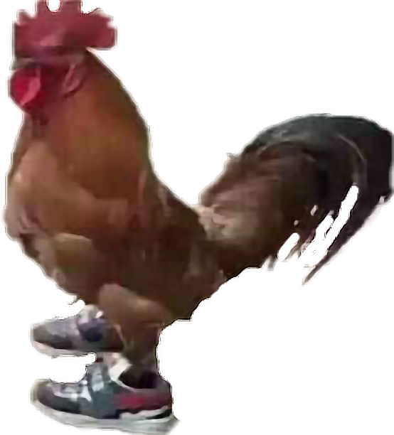 Sneaker Sporting Rooster PNG
