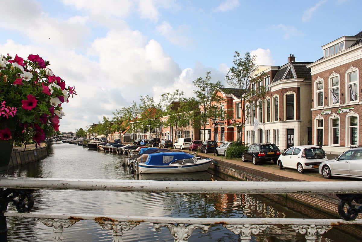 Sneek Waterpoort Canal View Wallpaper