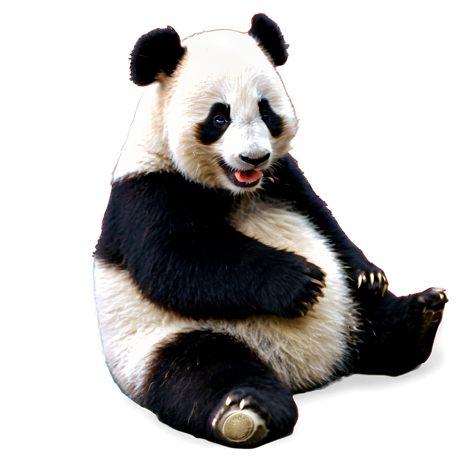 Download Sneezing Baby Panda Png 05062024 | Wallpapers.com