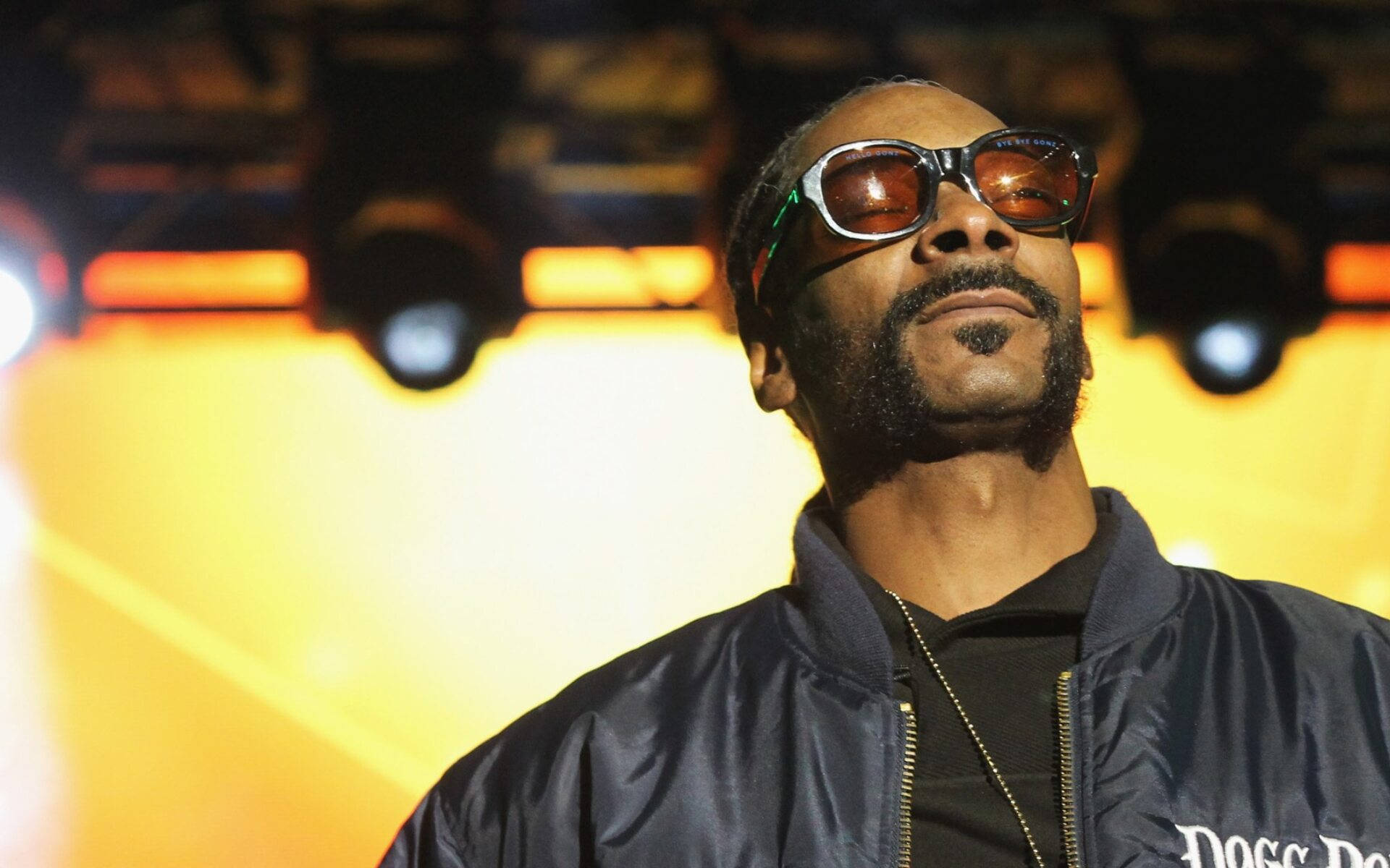 Snoop Dogg Live Performance Wallpaper